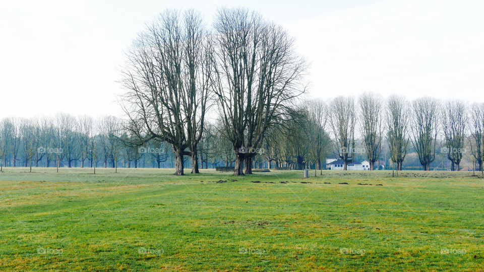 Landscape in Antwerp