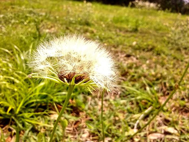 beauty is everywhere