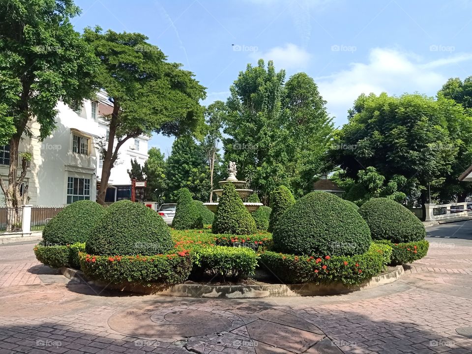 Garden in the village