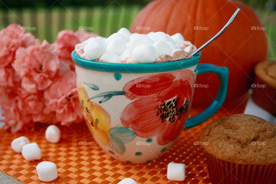 Hot Chocolate . Hot chocolate with marshmallows and apple spice muffins. 