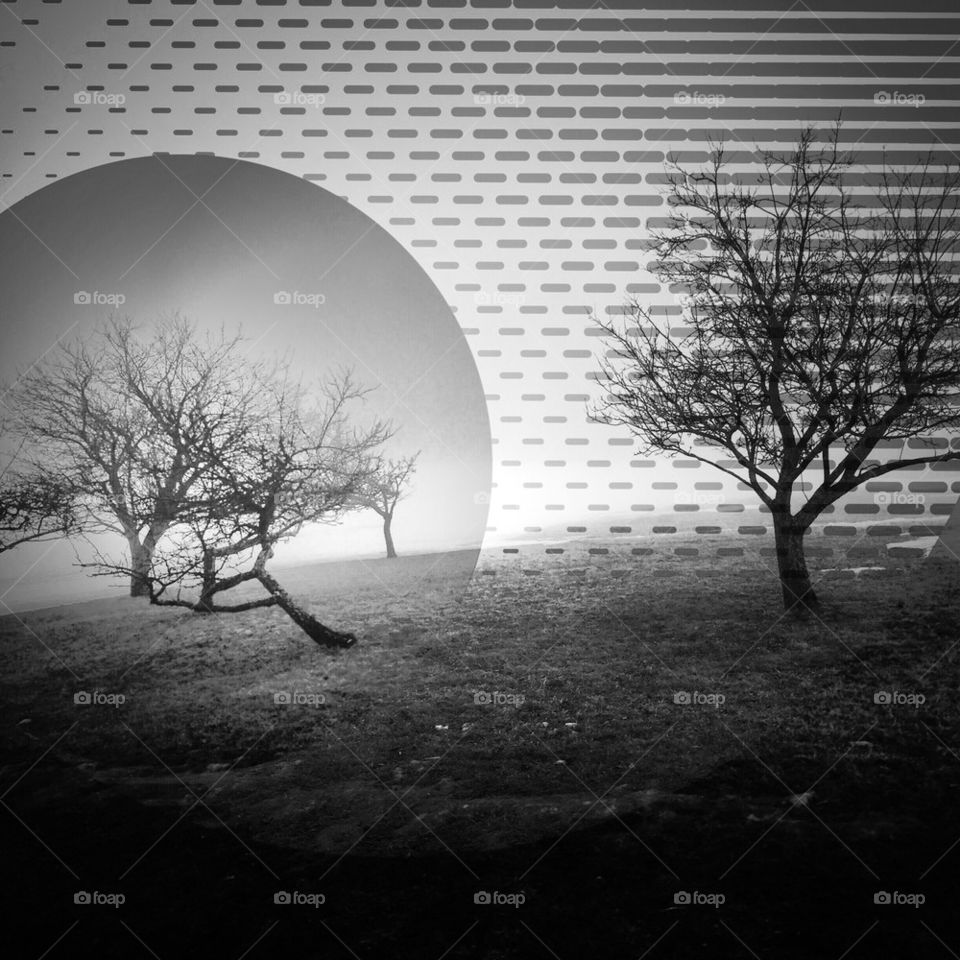 Abstract photography 