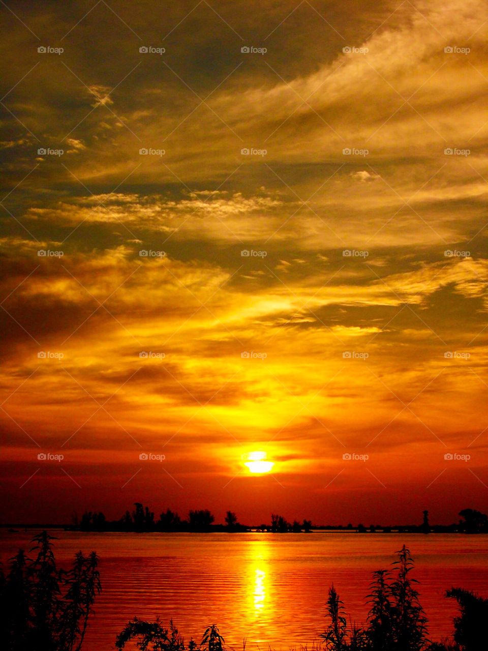 Sunset down on the river. 