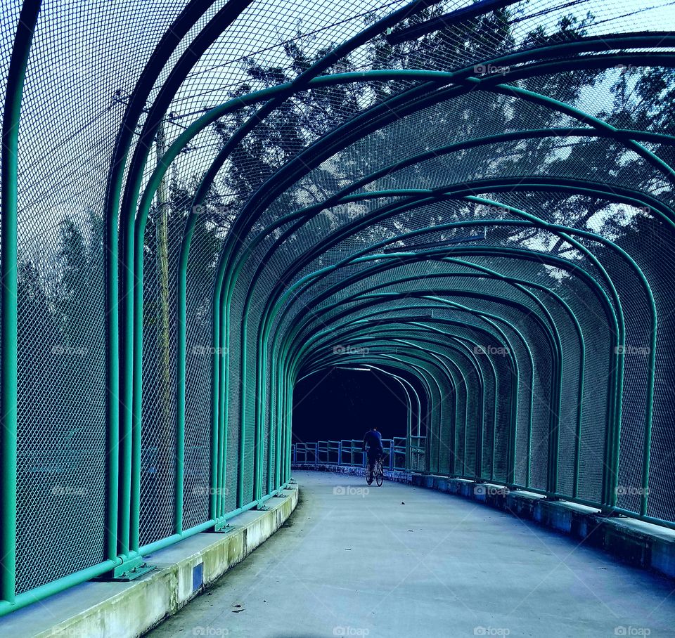 Tunnel, Bridge, Subway System, Perspective, Passage