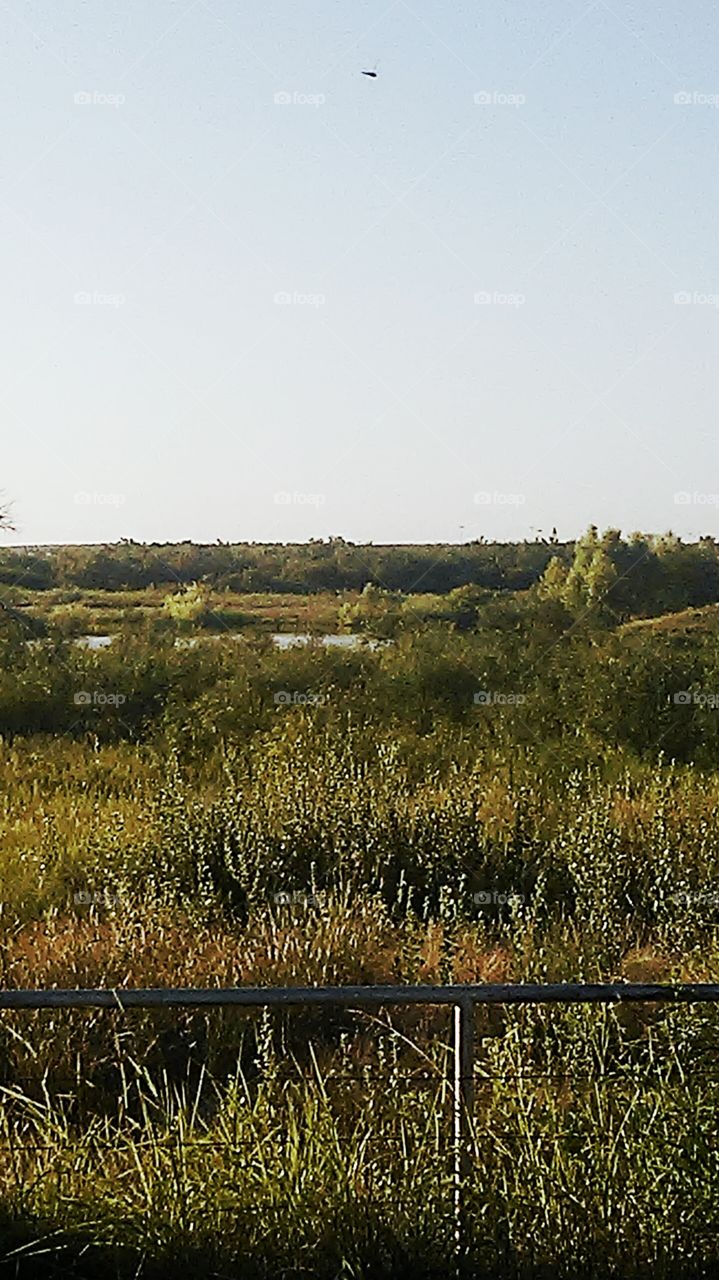 good ole country side. This is another beautiful place that I go to get away from everyone and pray to God