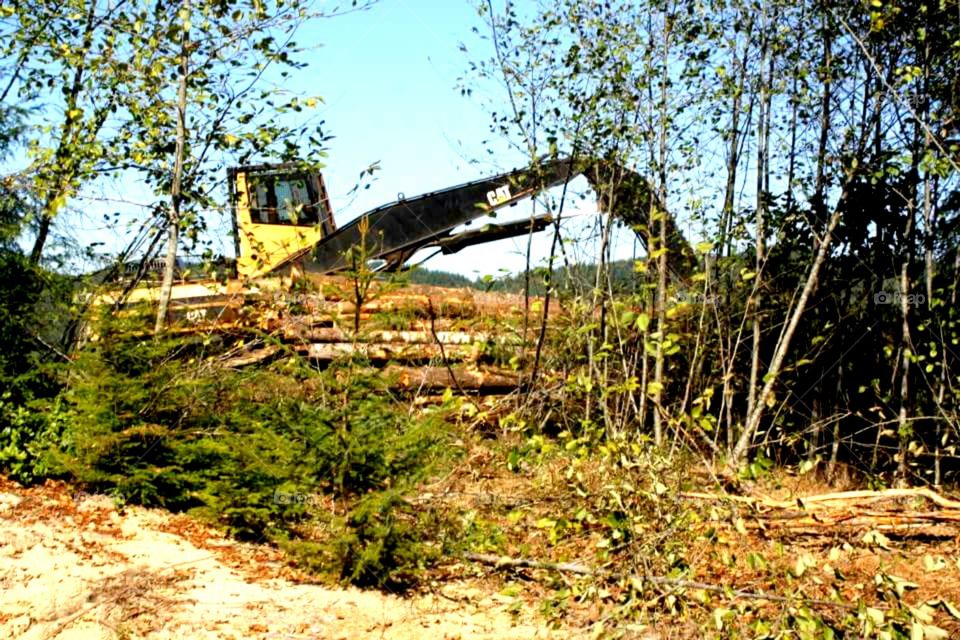 Logging