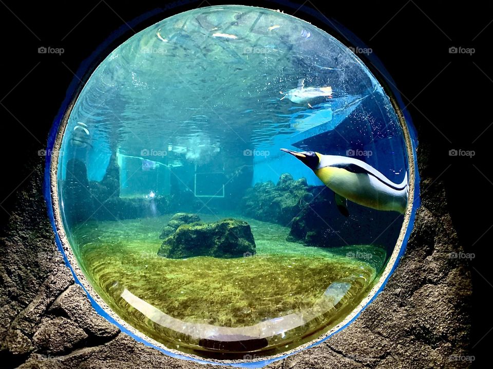 Aquarium