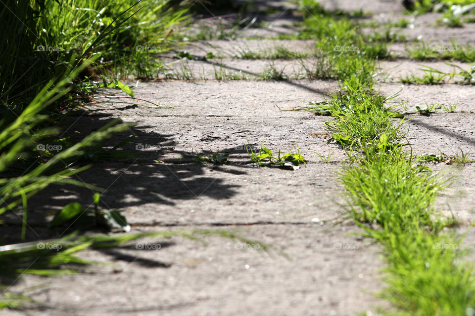 Texture, background, splash, abstraction, road, asphalt, grass, lawn