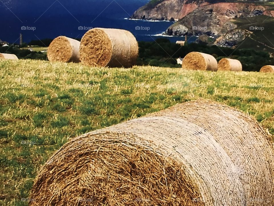 Photograph of a beautiful Cornish countryside and coastal scene, a sumptuous treat,