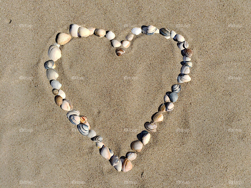 A heart made of seashell