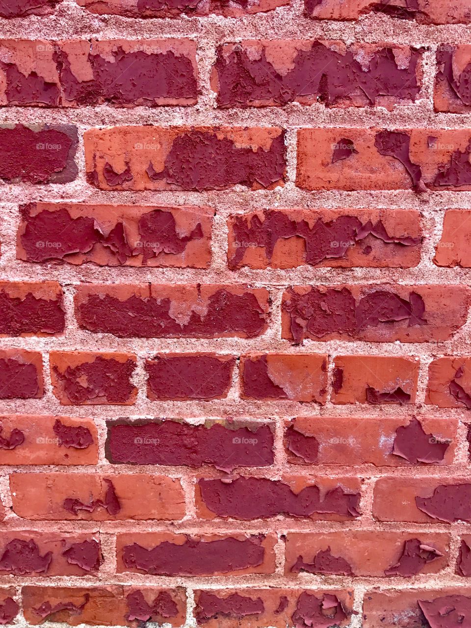 Orange Brick Wall