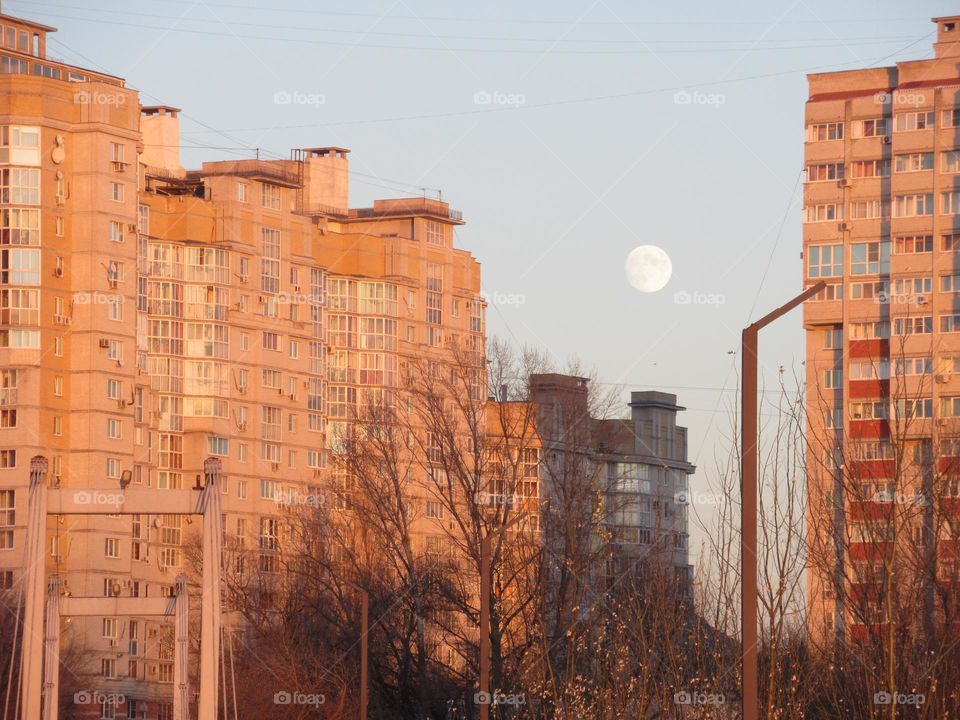 full moon in december, winter, frosty evening
