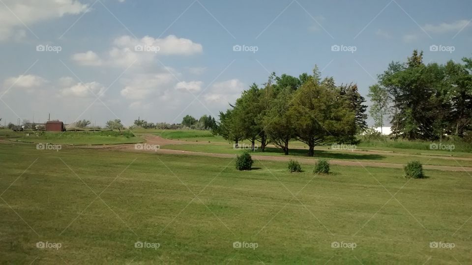 Landscape, Golf, Tree, Grass, Agriculture