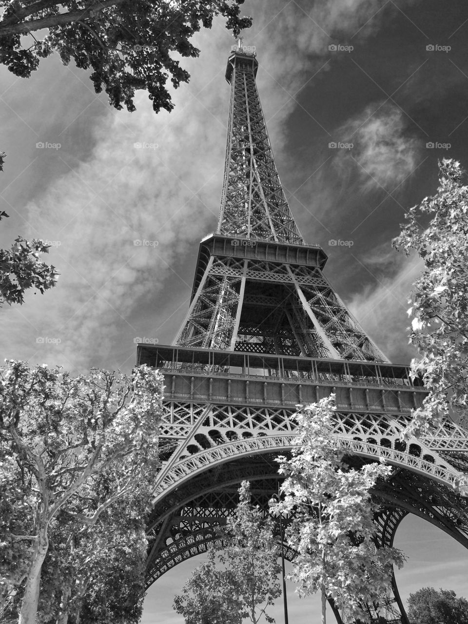 Eiffel in Black and White