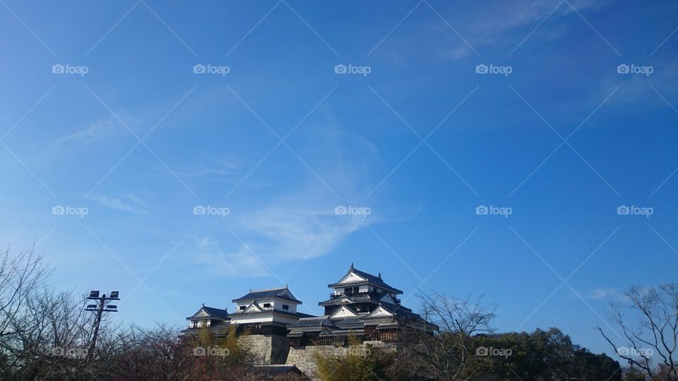 Matsuyama castle. It's in Ehime prefecture, Japan. This  is one of the most biggest castle in Japan.