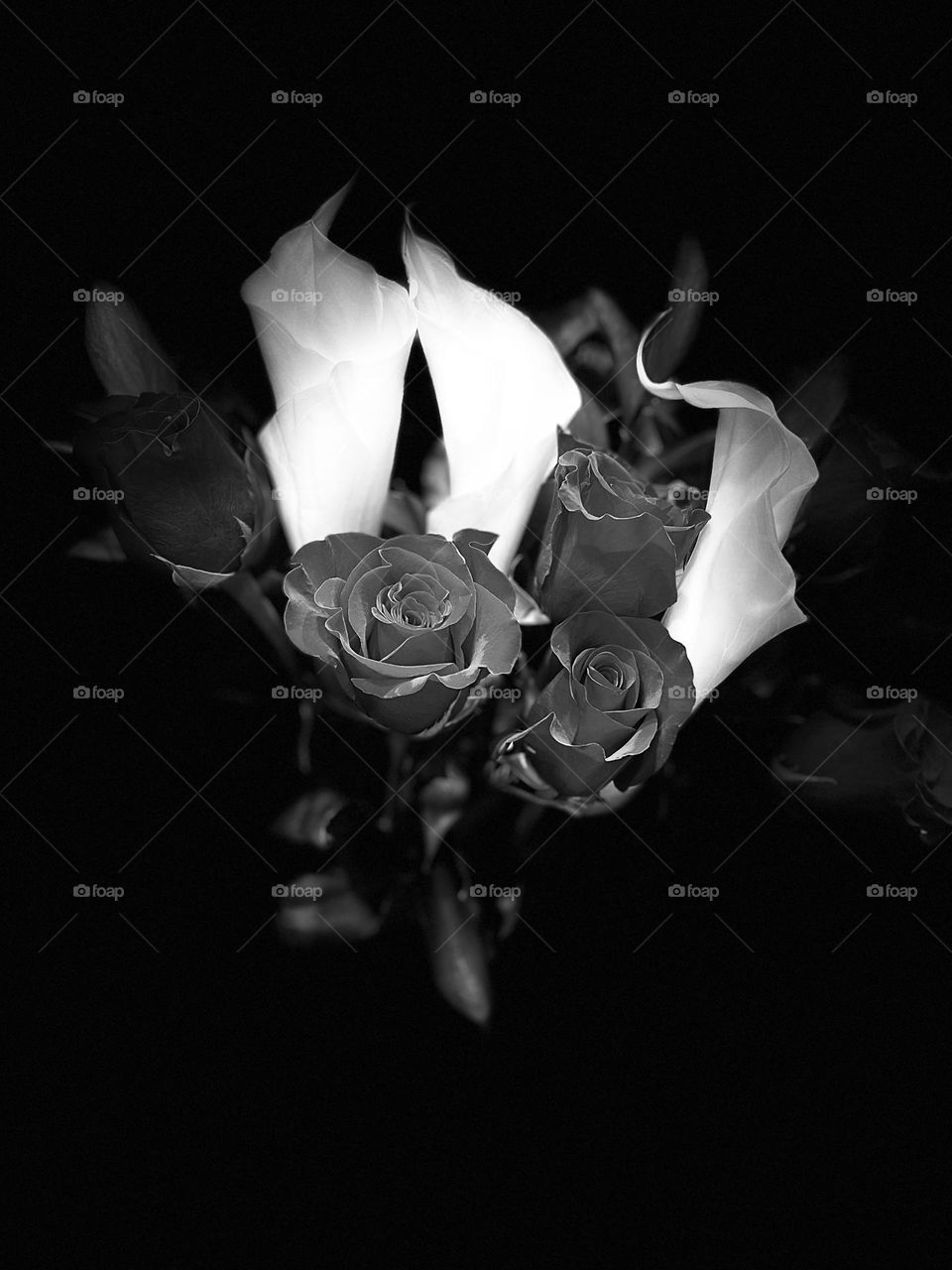 Cala Lilies and red roses. A beautiful bouquet for a Valentine’s Day sweetheart.