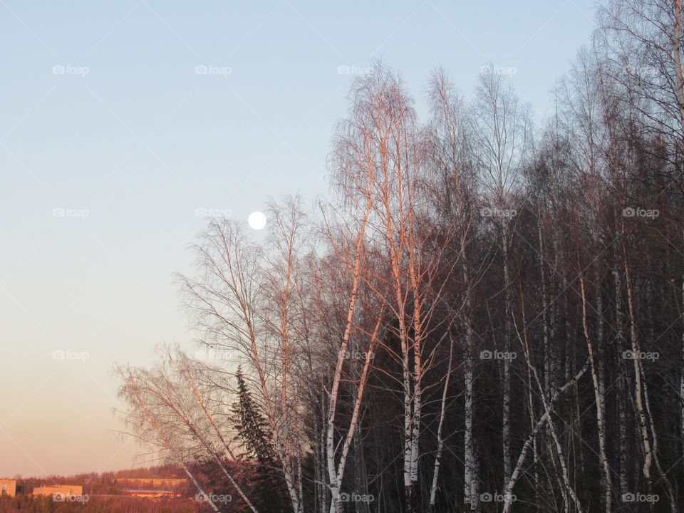 full moon over the Urals in Russia