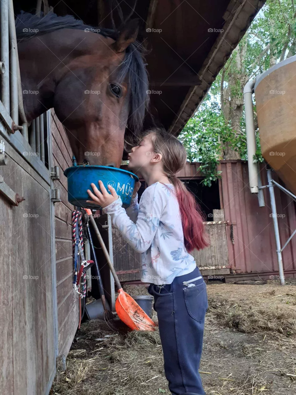 girl gives horse attention