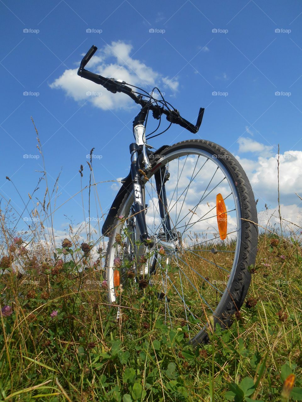 bike on a green grass blue sky background summer time