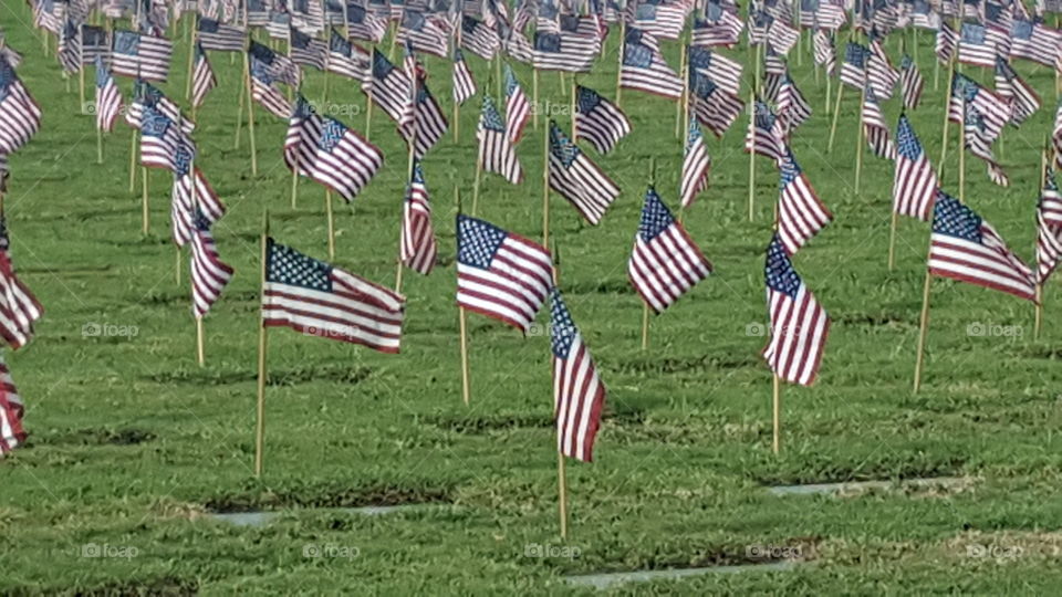 American flags flying at Biloxi National Cemetery for Memorial Day.