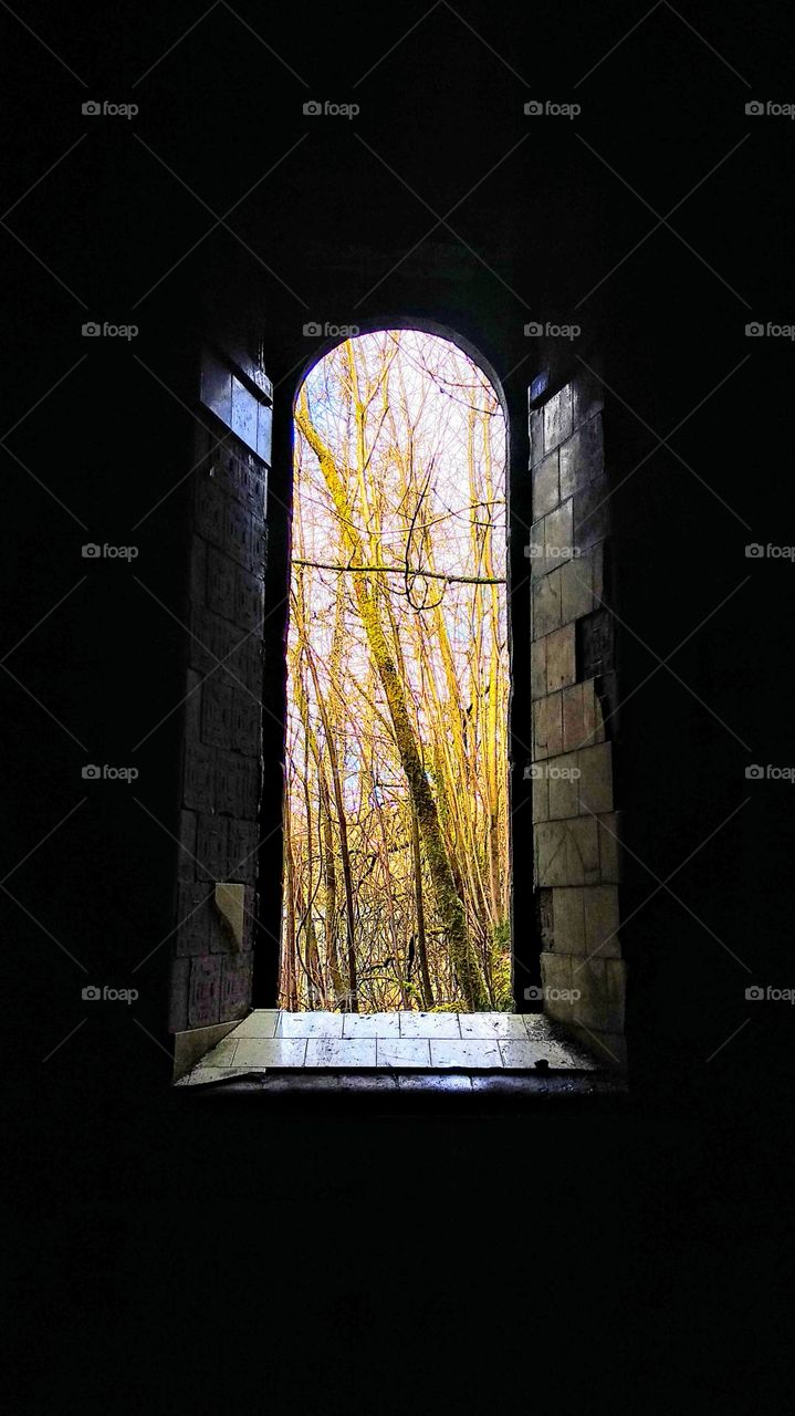 Window into the past