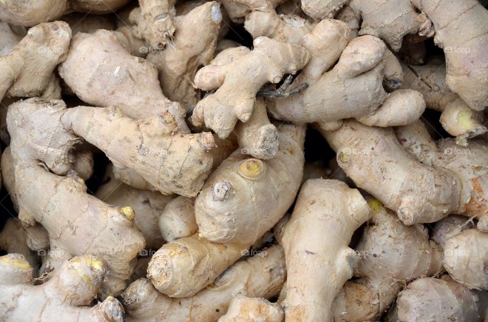 Ginger at the market in Antwerp.