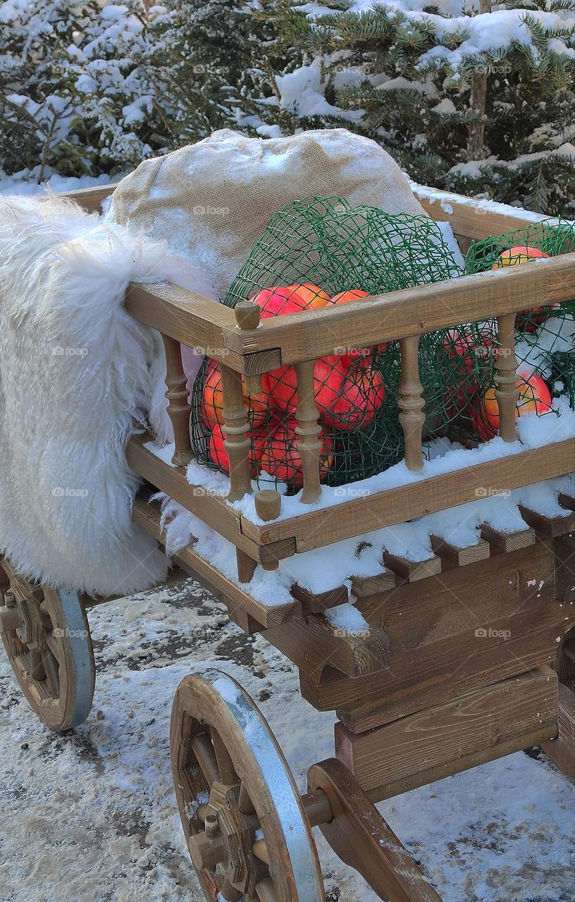 Apples in a green mesh bag on the snow in a cart in winter. Around the cart there are  Christmas trees in the snow