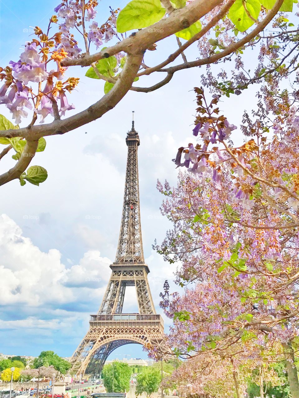 Eiffel Tower in Paris, France 