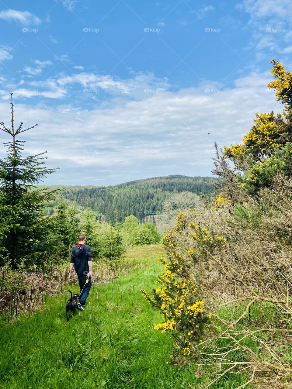 Just a staffy jumping through the bluebells 🏴󠁧󠁢󠁳󠁣󠁴󠁿