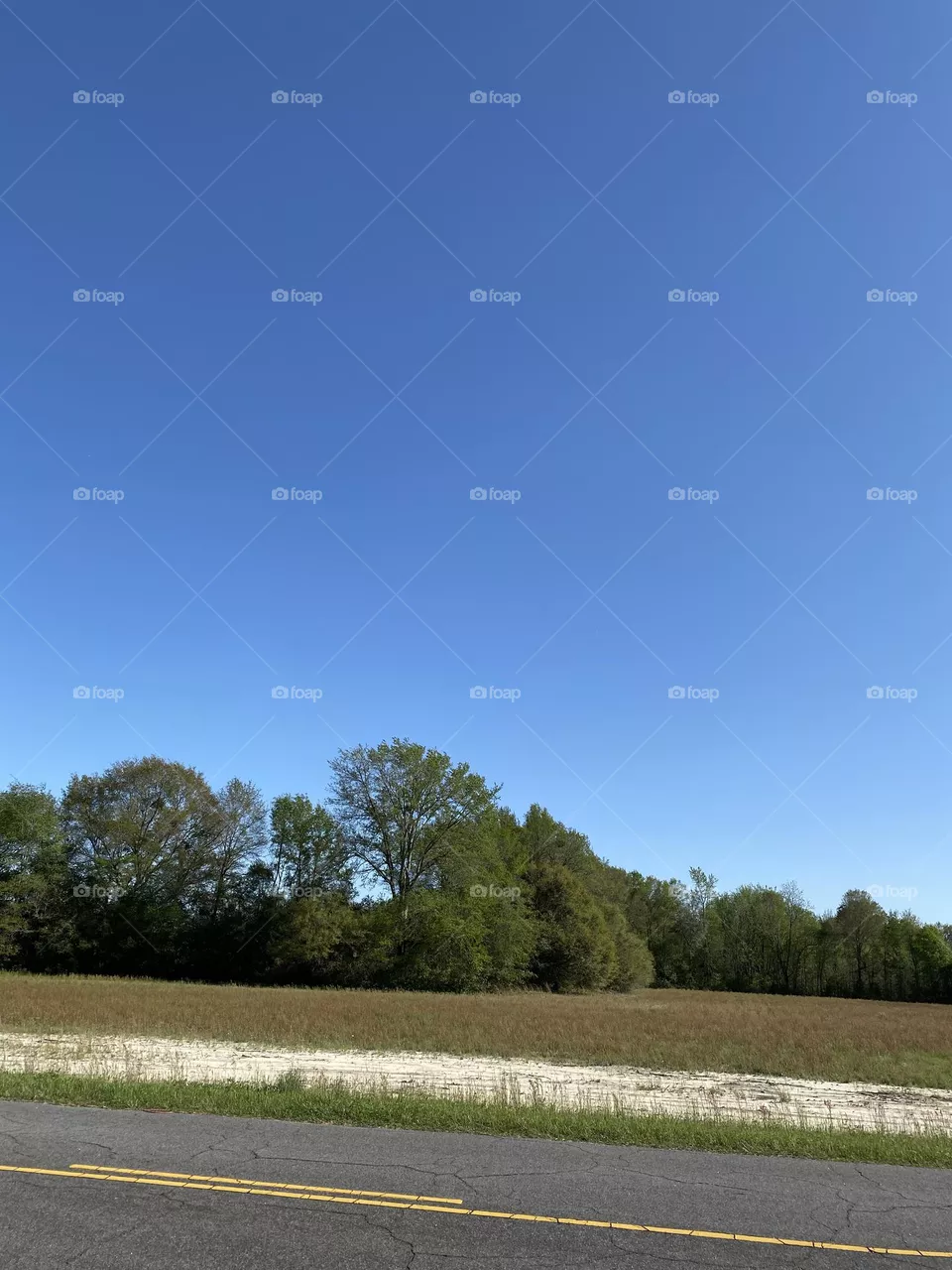 Blue sky 