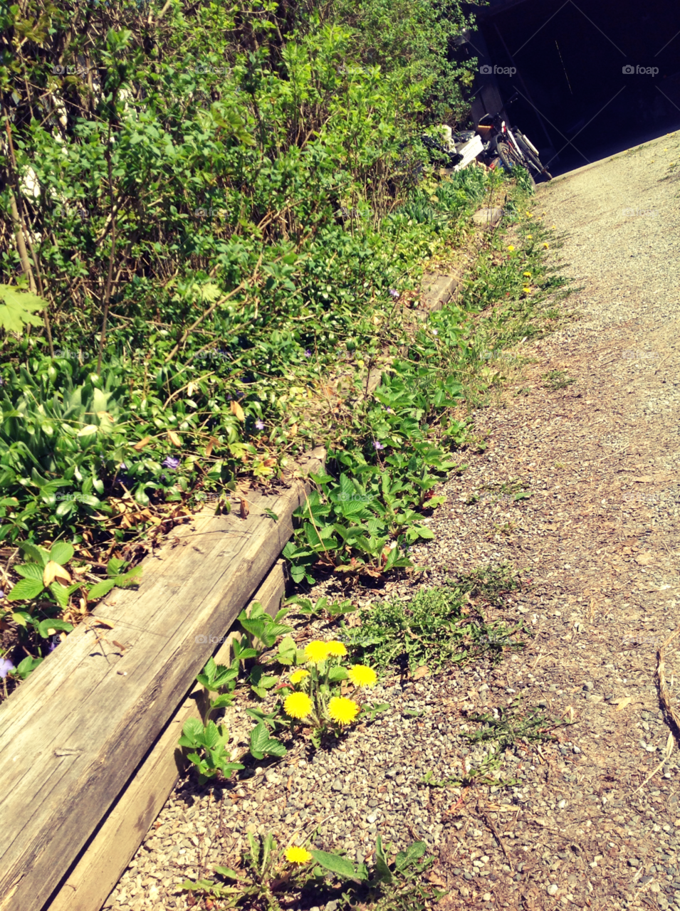 Spring come to garage 