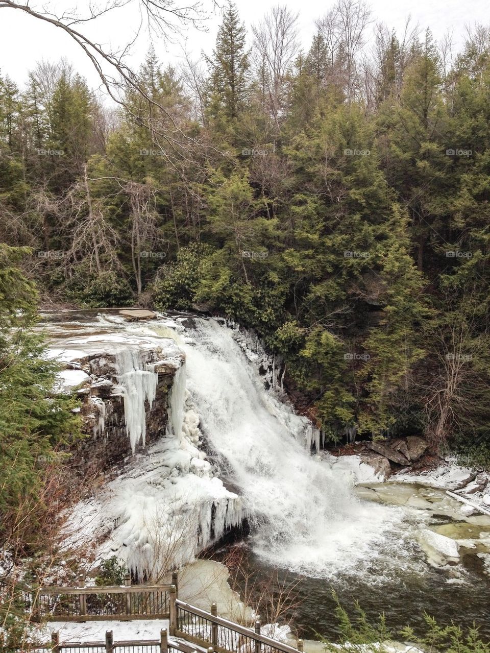 Icy falls and trees