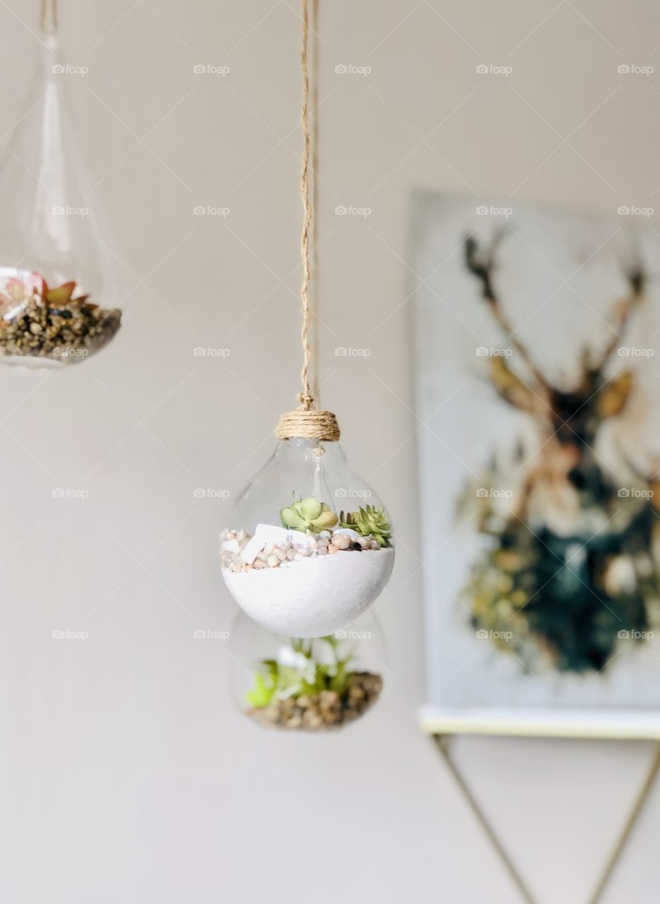 Diy Terrarium 