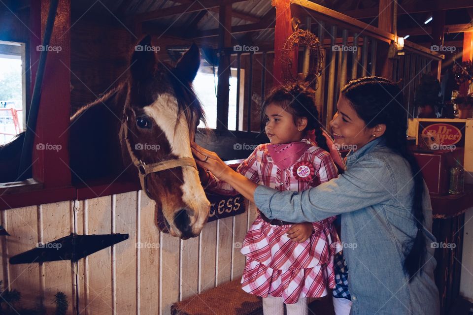 First time seeing a horse 