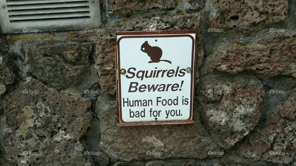 Squirrels Beware Sign