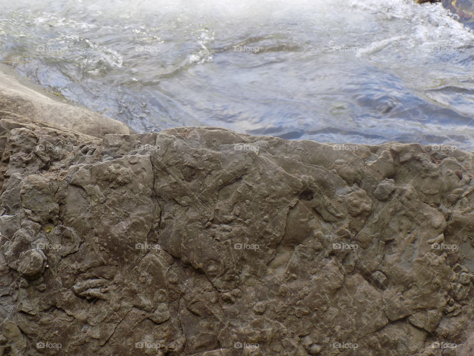 The foot of the aceh halimon