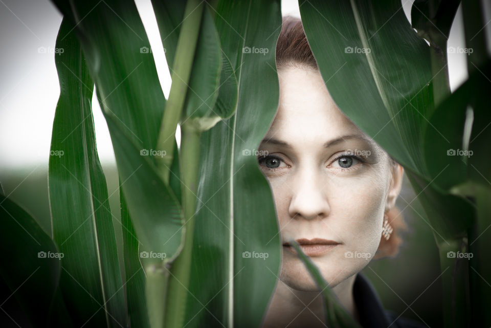 Portrait of serious woman face through green corn leaves