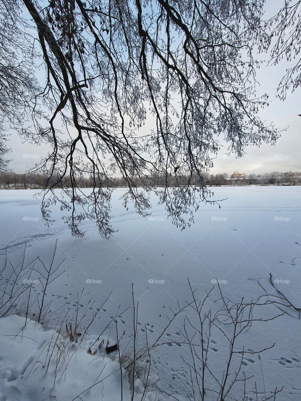 FROZEN RIVER, FABULOUS ART OF MERCIFUL GOD👏👏👏