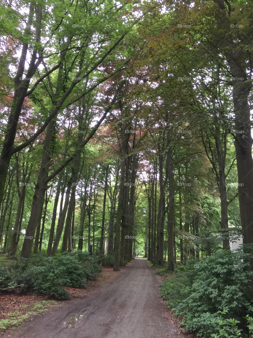 Park in Antwerp, Belgium.