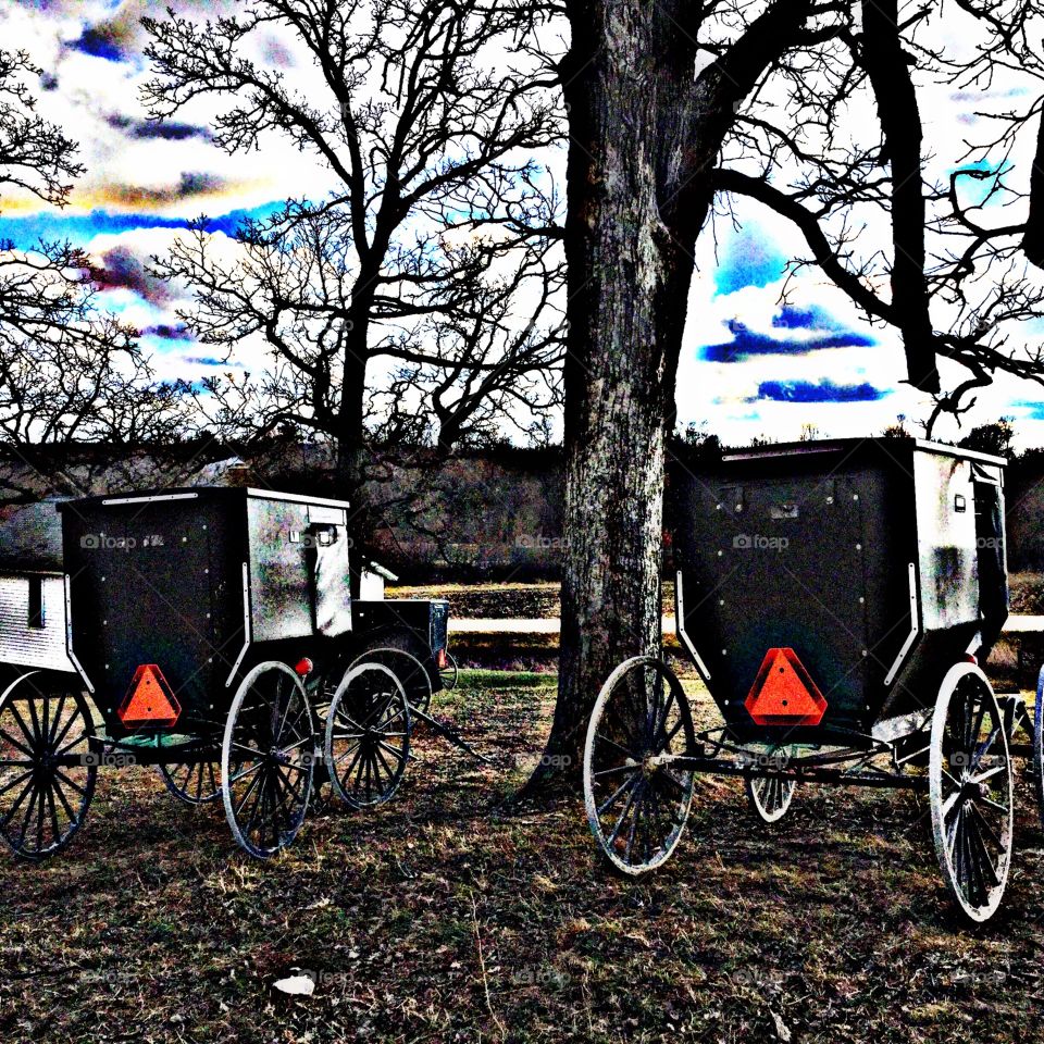 Amish buggies !