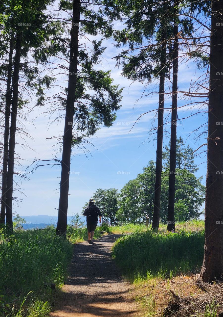 man hiking to the top of a nature ridge looking forward to seeing the beautiful scenic view beyond the trees