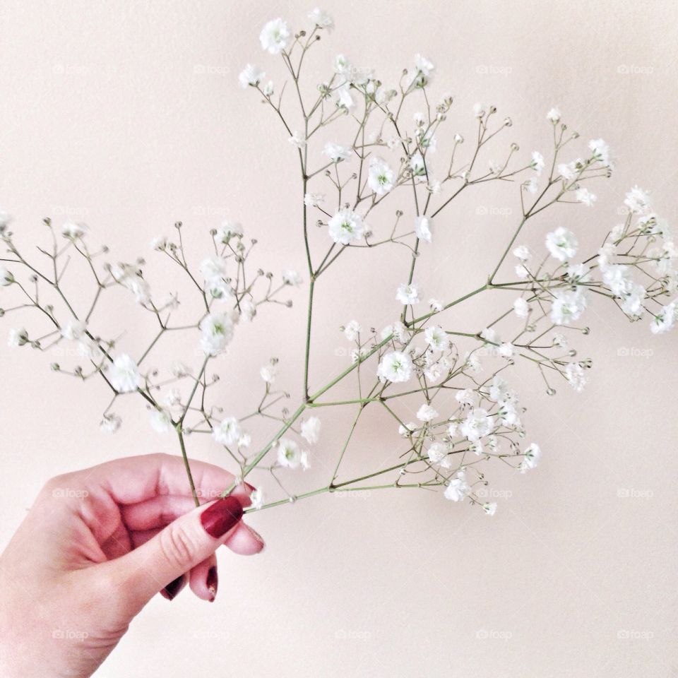 A person holding twig