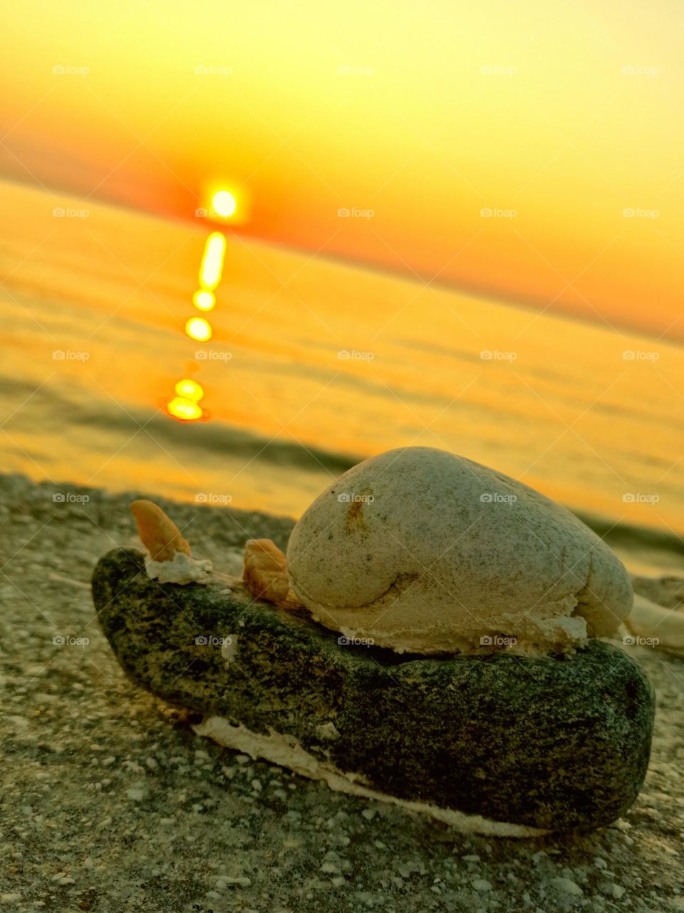 sunrise from the Aegean Sea