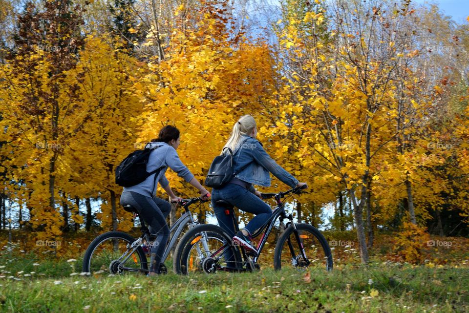 person riding on a bike autumn time, beautiful autumn nature