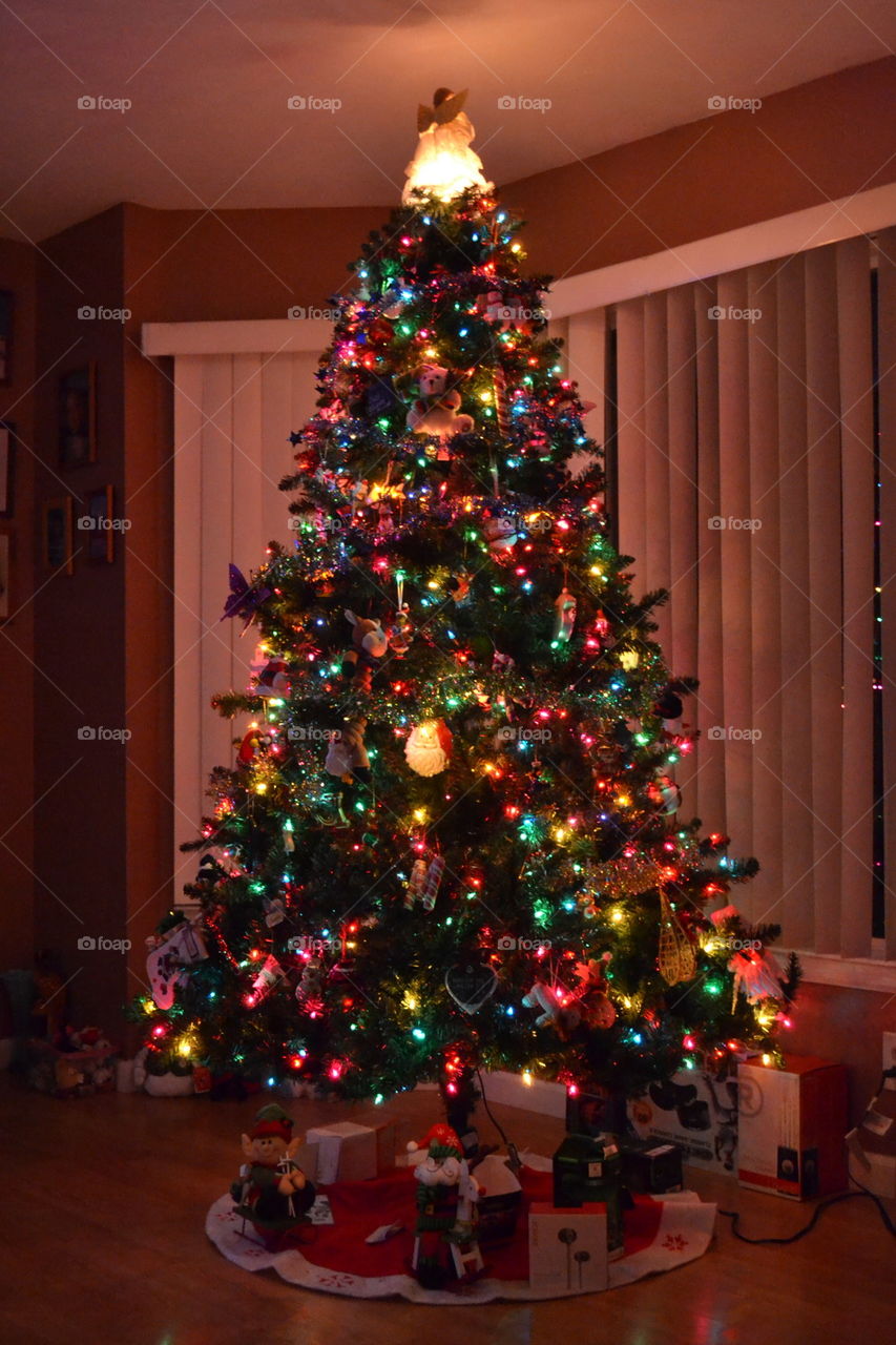 Christmas 2014