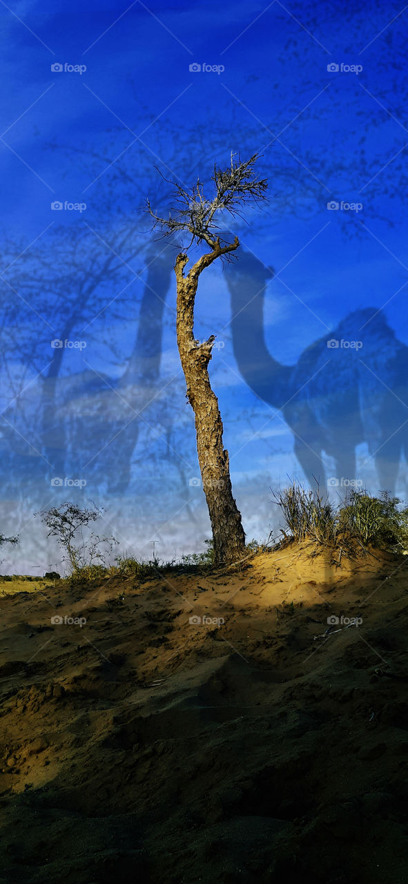 the best friends of the bad times is;the dreams of the past