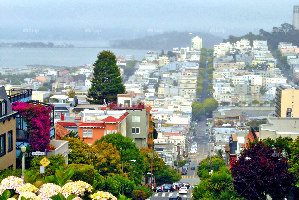 Crooked street in San Francisco, overlooking the city