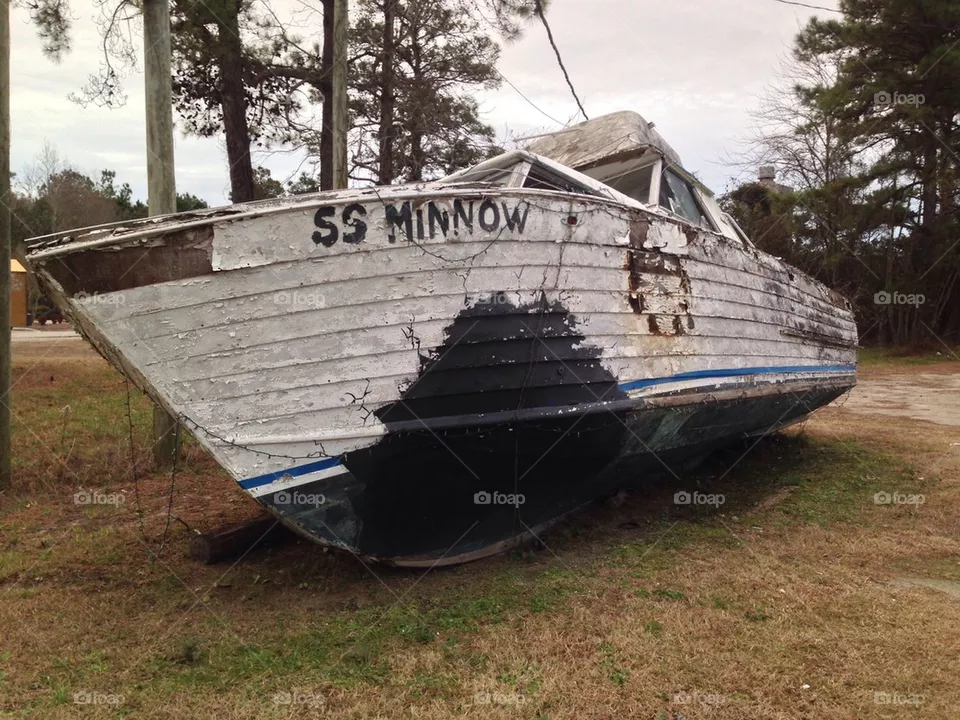 A.s. Minnow
