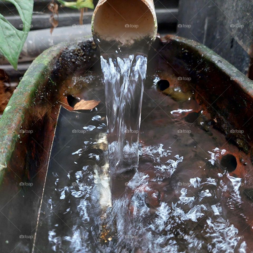 Water flows from mountain springs