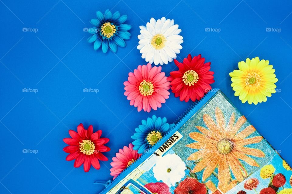 Flat lay of Gerbera daisies and a colorful floral-print zipper bag with blue trim on a bright blue background 