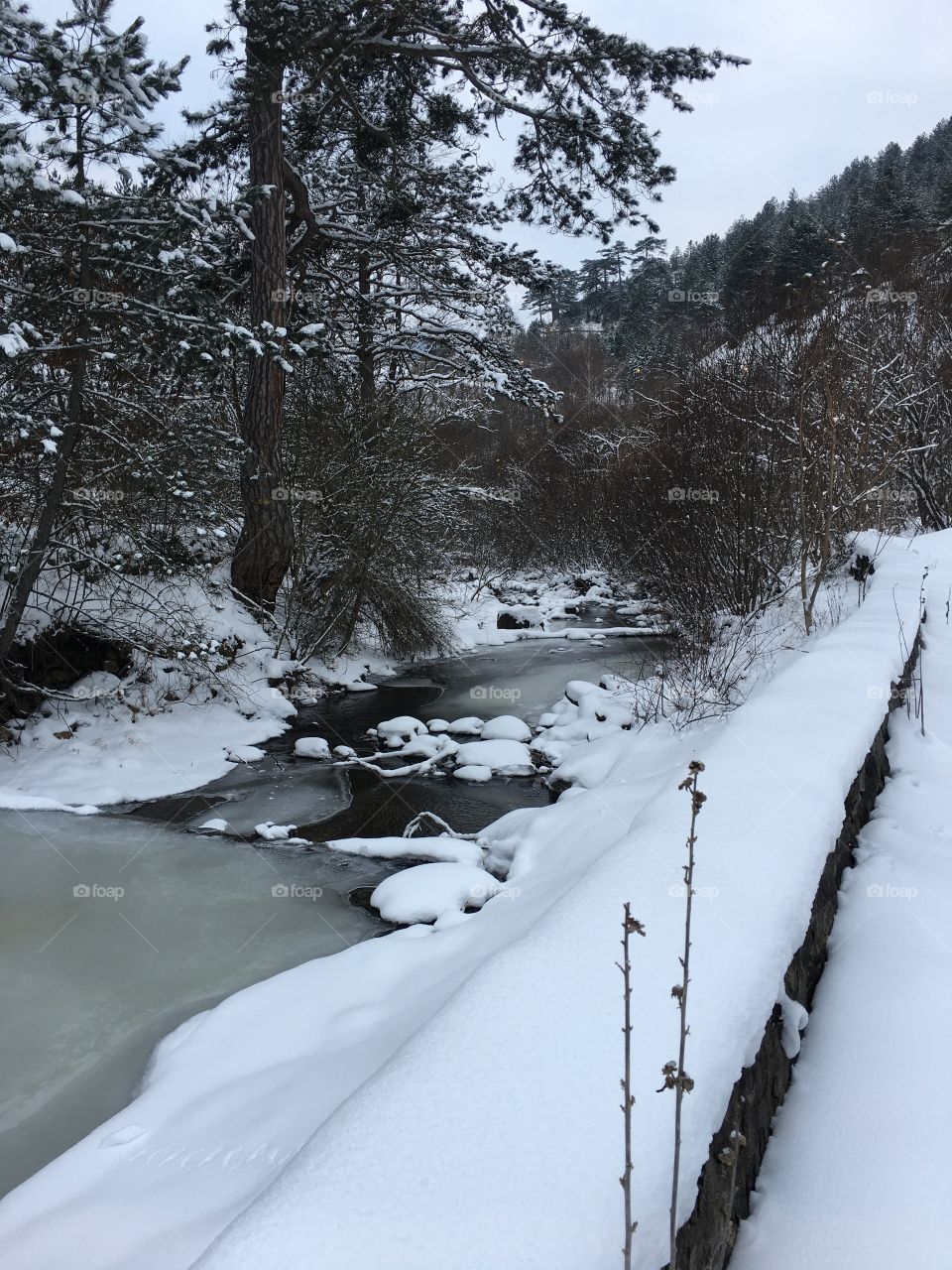 Winter snow landscape in the forrest with small stream. 